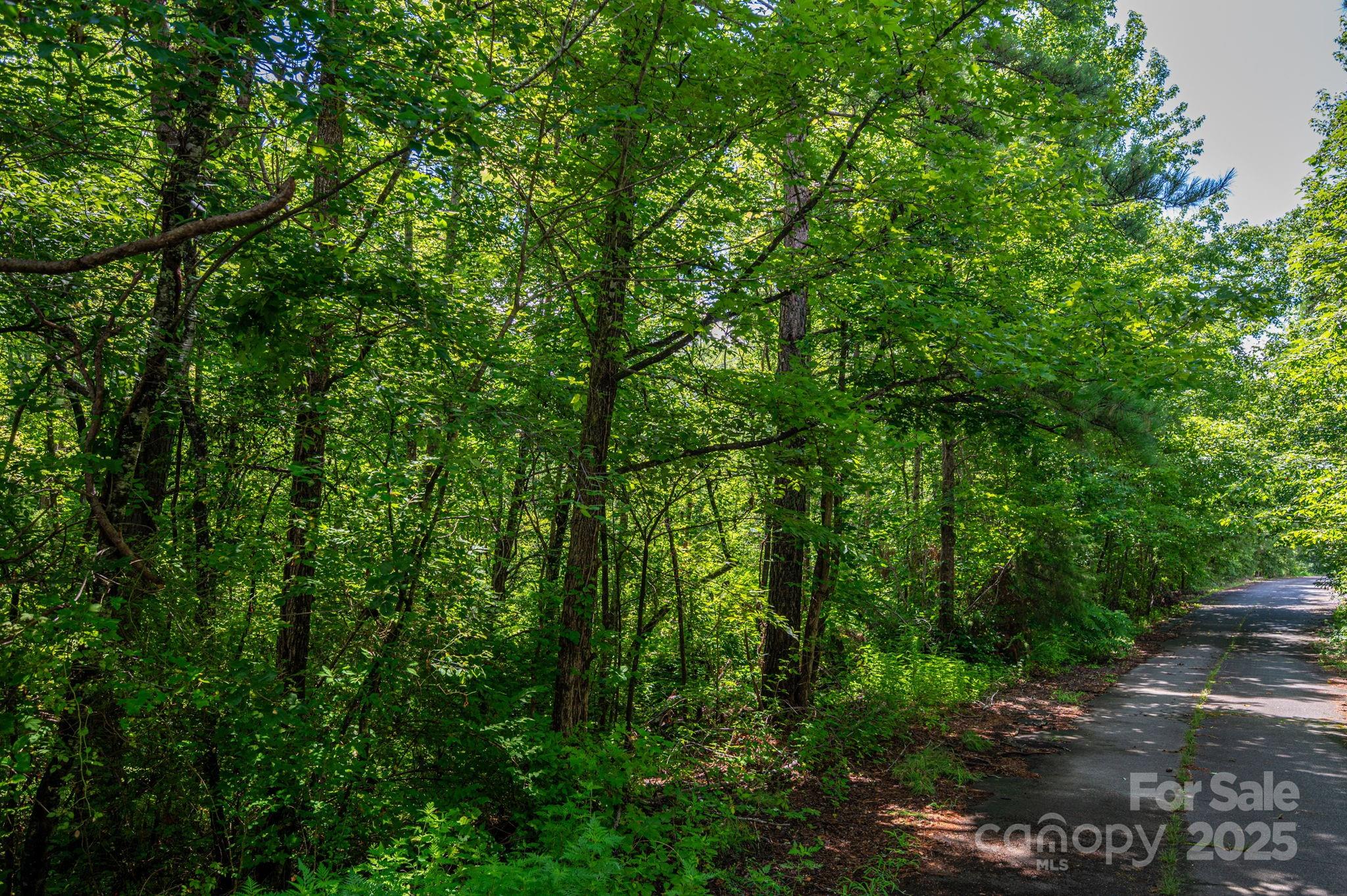 Lot 31 Line Drive Forest City NC 28043