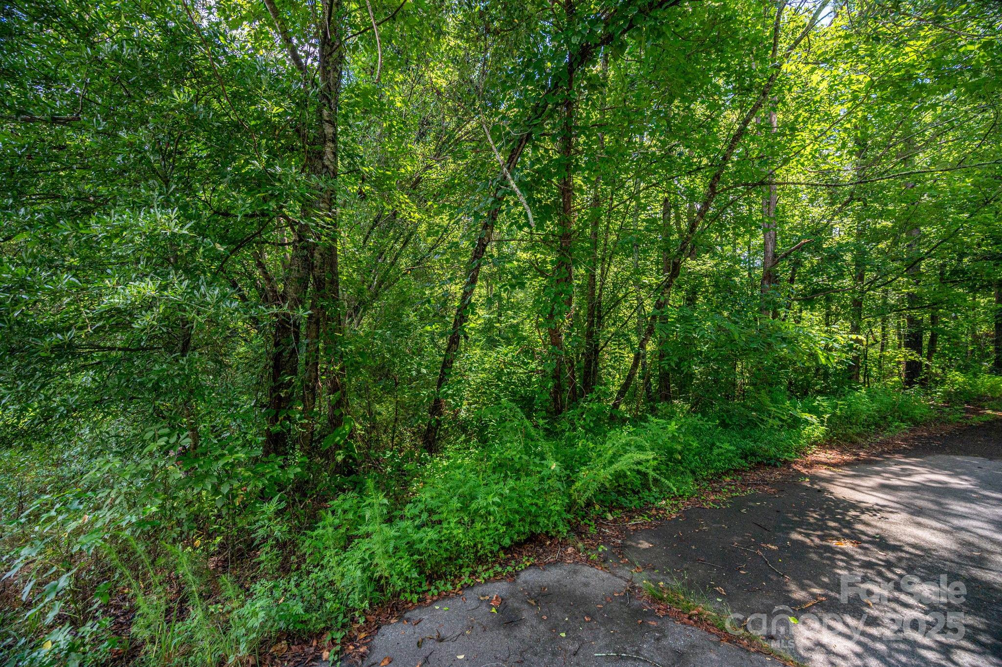 Lot 31 Line Drive Forest City NC 28043