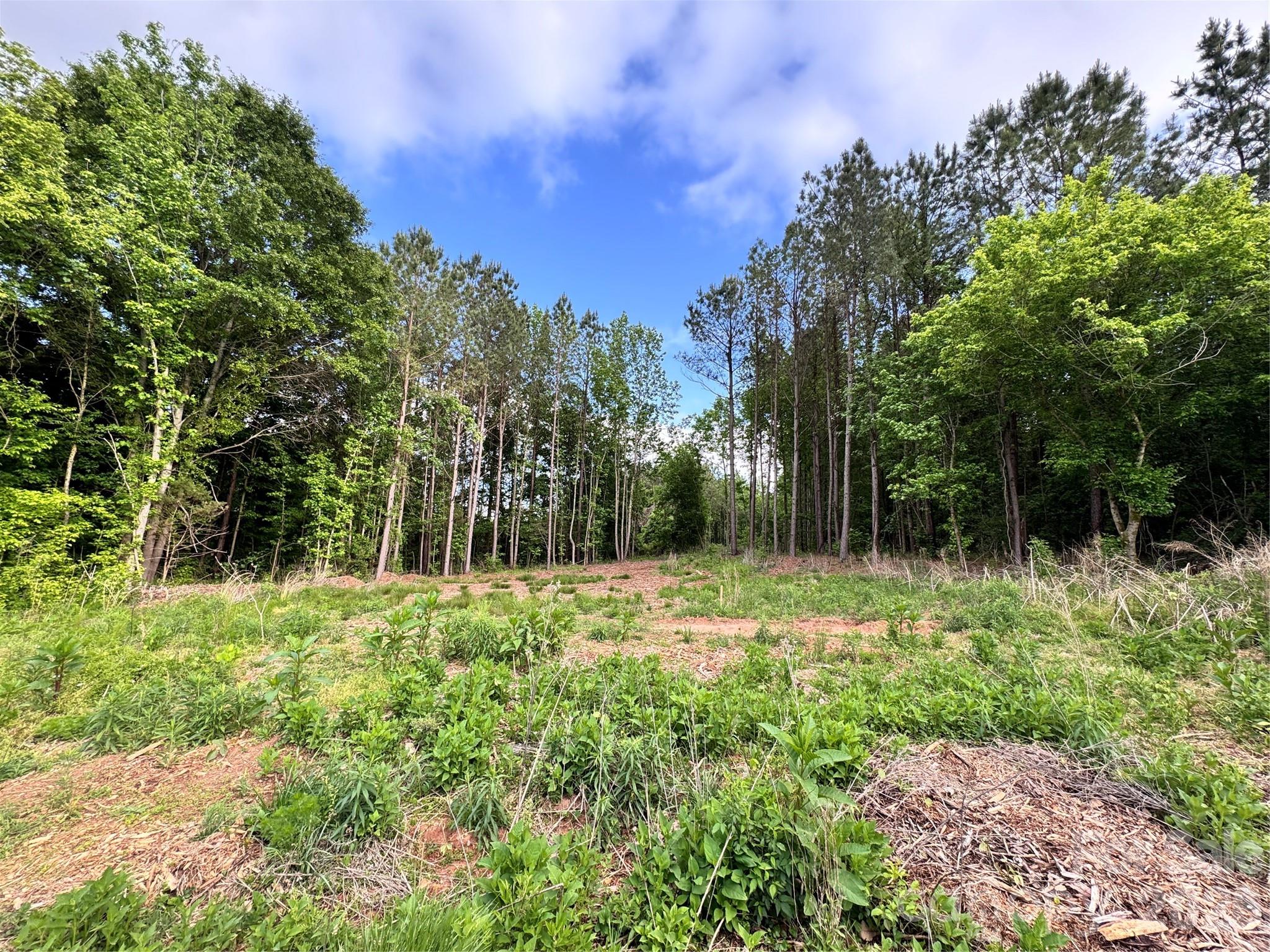 170 Beagle Club Road Cherryville NC 28021
