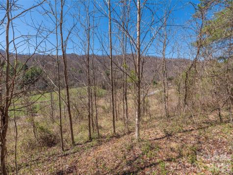 00 Worley Cove Road Marshall NC 28753