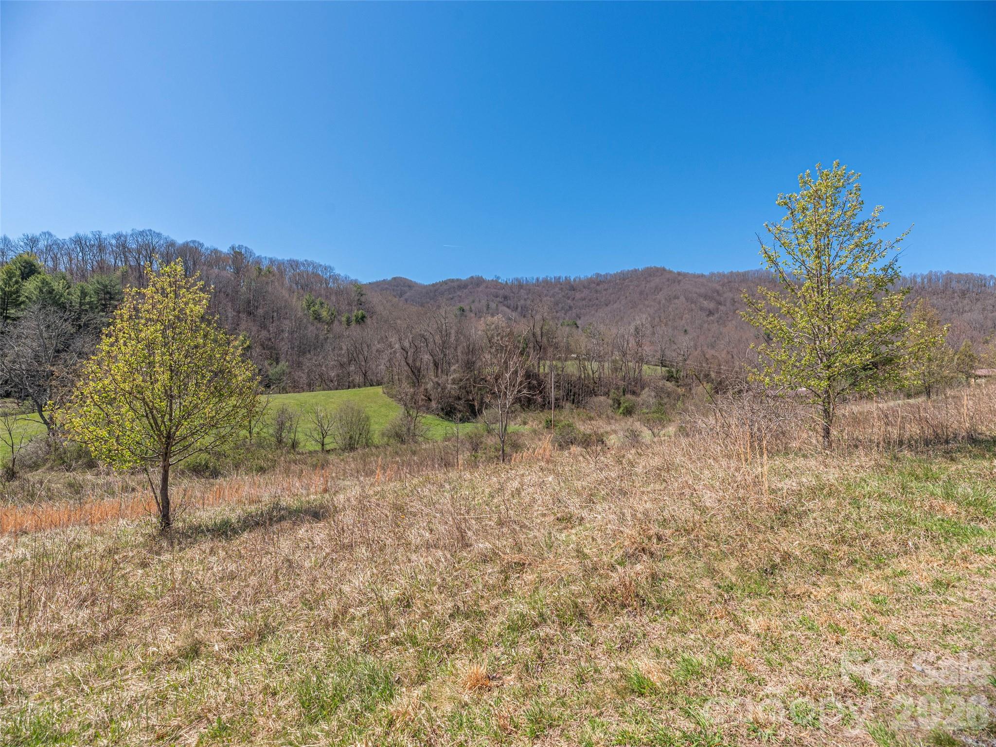 00 Worley Cove Road Marshall NC 28753