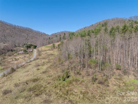 00 Worley Cove Road Marshall NC 28753