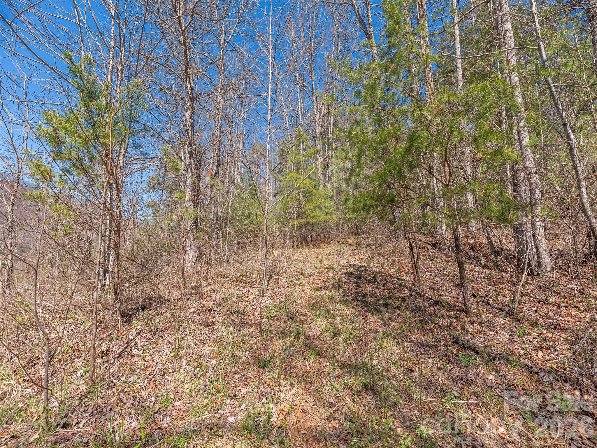 00 Worley Cove Road Marshall NC 28753