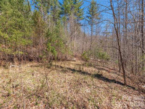 00 Worley Cove Road Marshall NC 28753