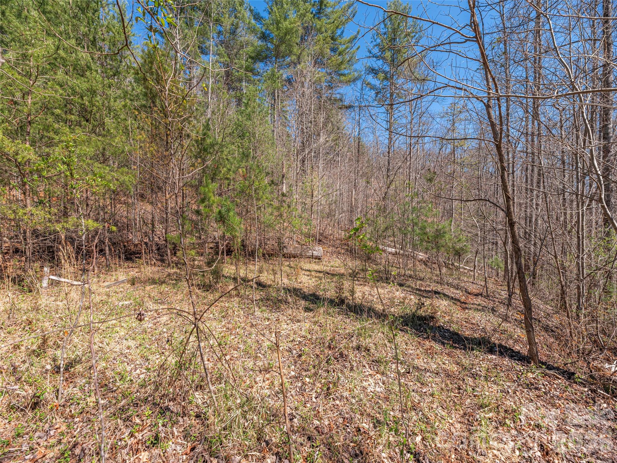 00 Worley Cove Road Marshall NC 28753