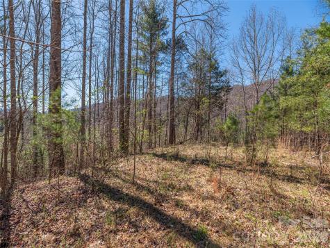 00 Worley Cove Road Marshall NC 28753