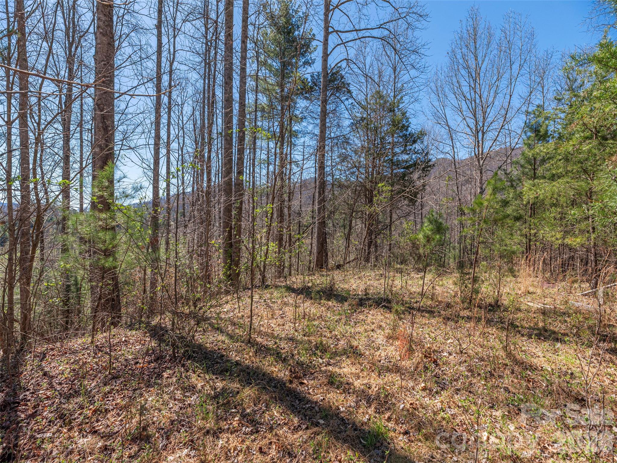 00 Worley Cove Road Marshall NC 28753