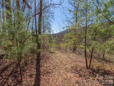 00 Worley Cove Road Marshall NC 28753