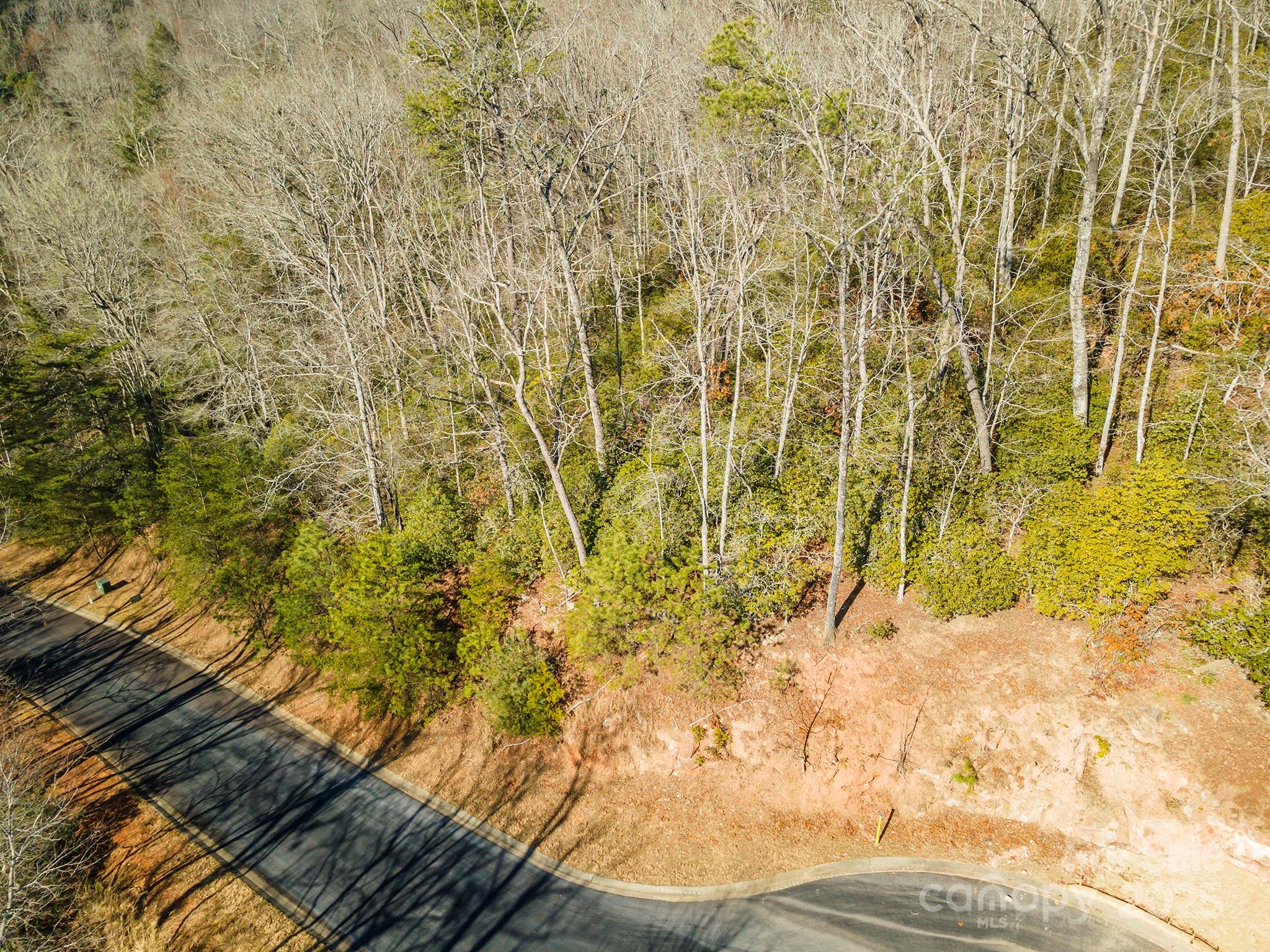 99999 Caddis Lane Horse Shoe NC 28742