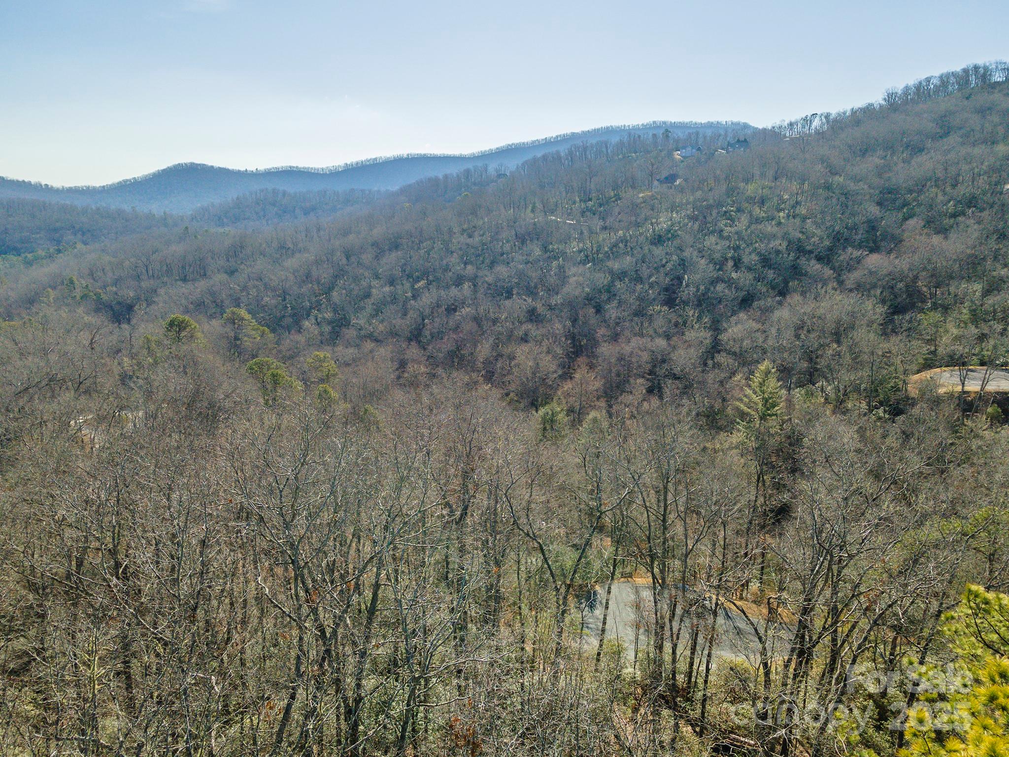 99999 Caddis Lane Horse Shoe NC 28742