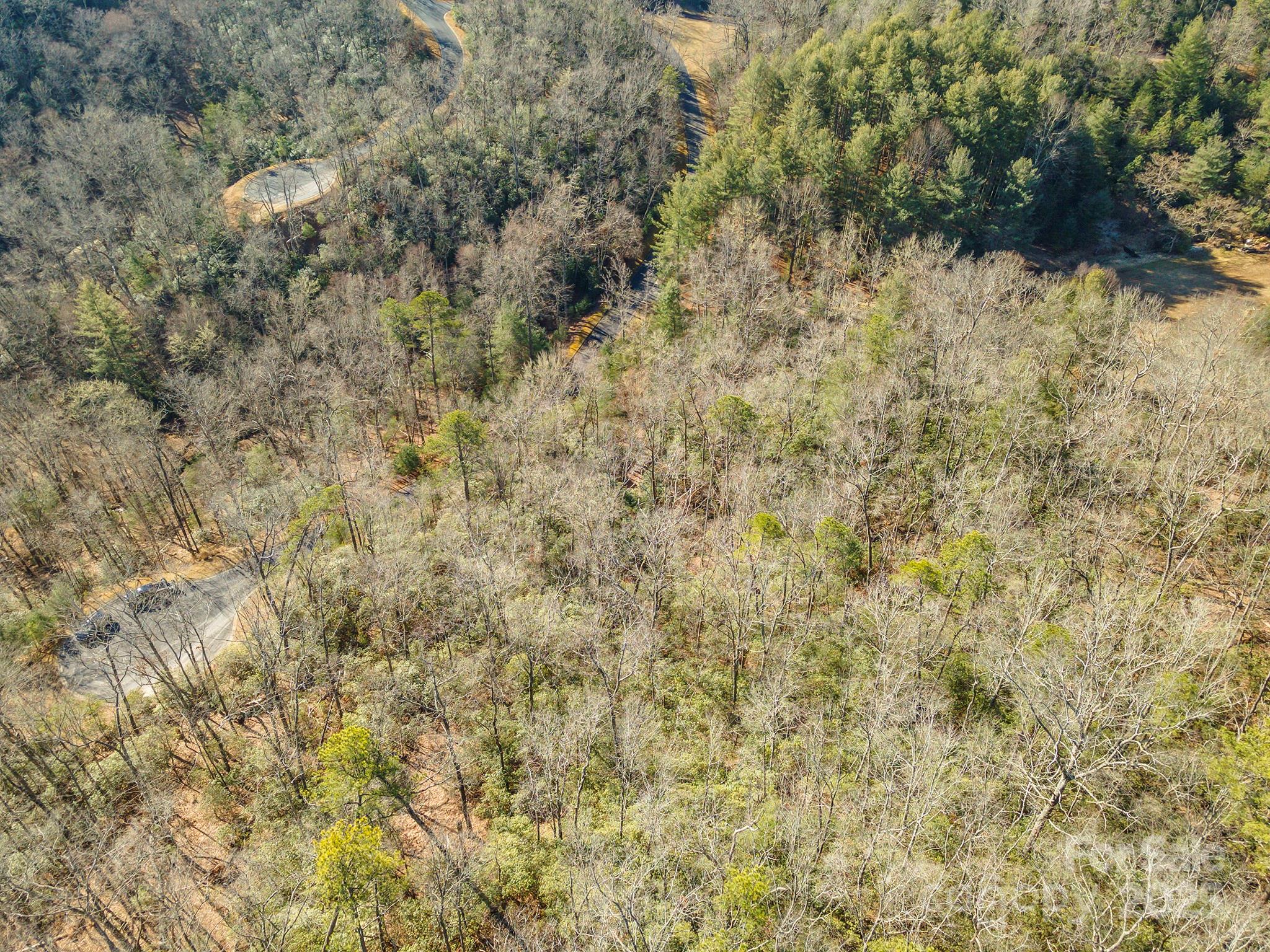 99999 Caddis Lane Horse Shoe NC 28742