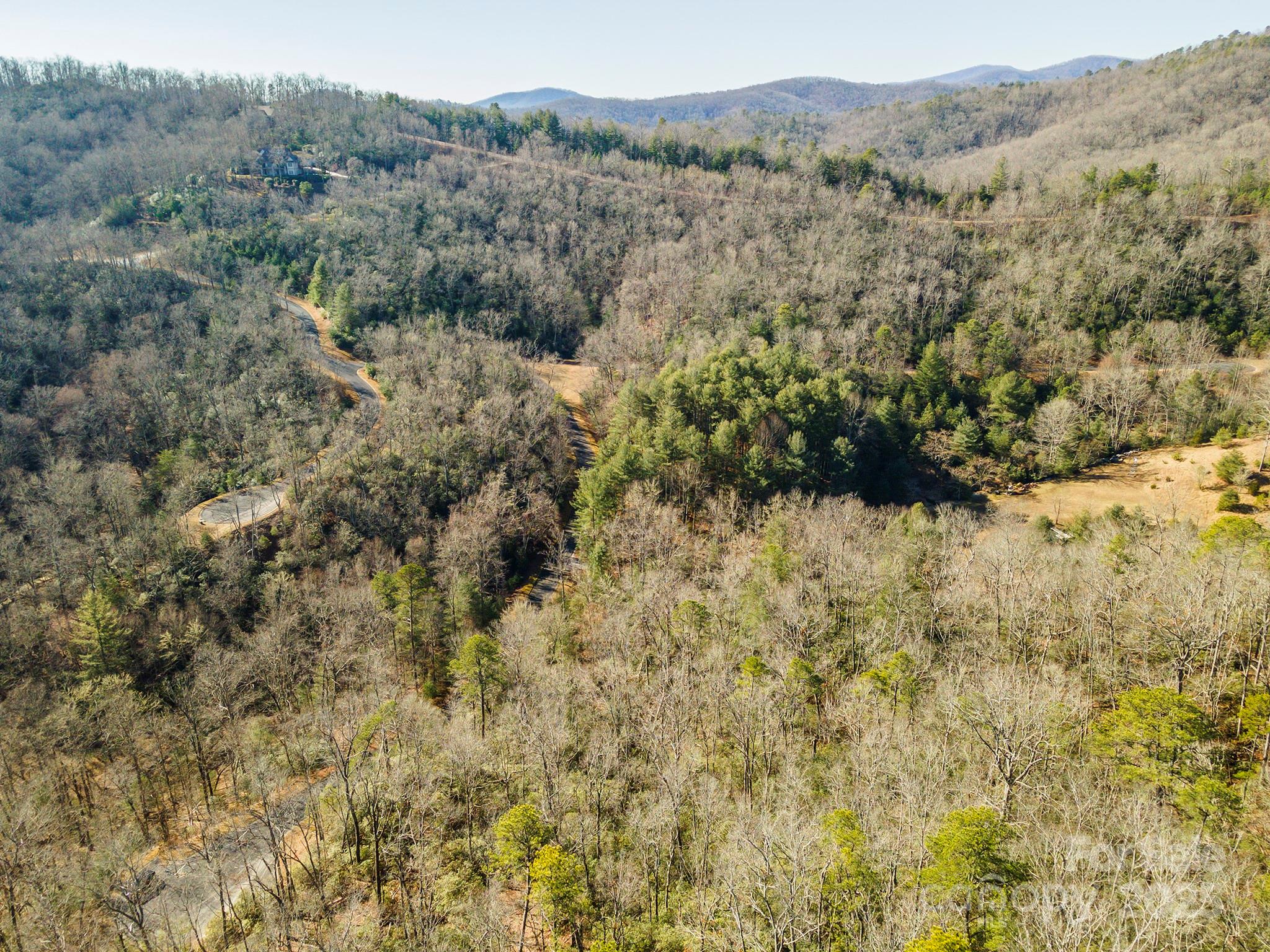 99999 Caddis Lane Horse Shoe NC 28742