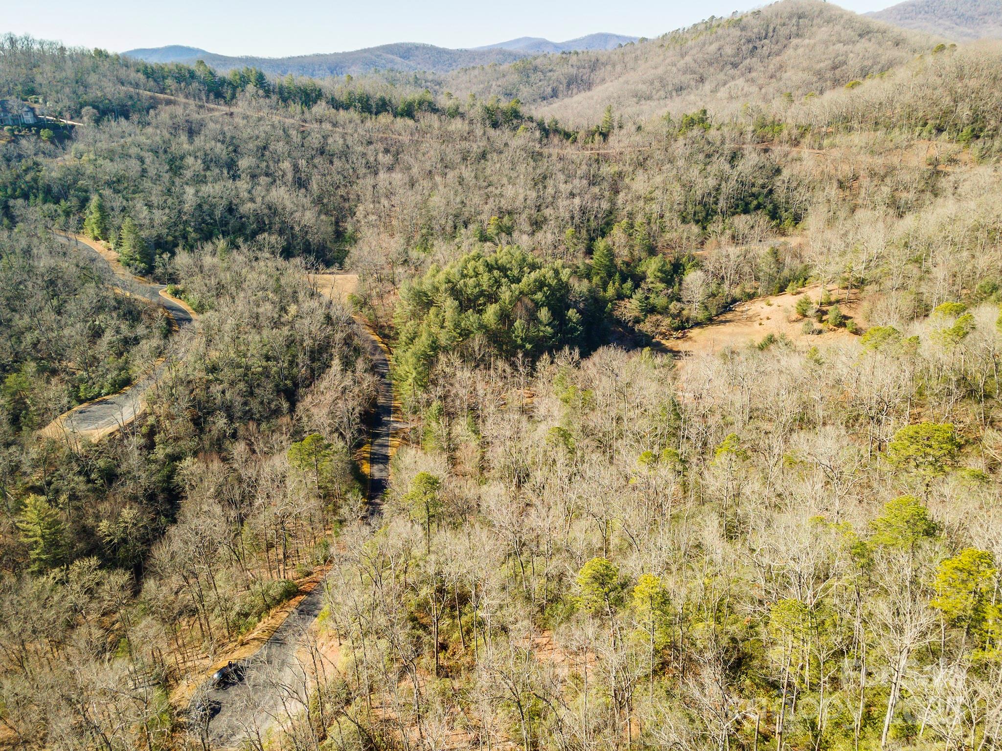 99999 Caddis Lane Horse Shoe NC 28742