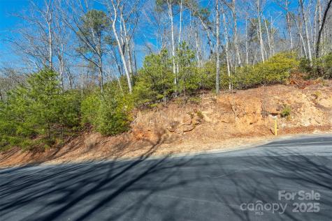 99999 Caddis Lane Horse Shoe NC 28742