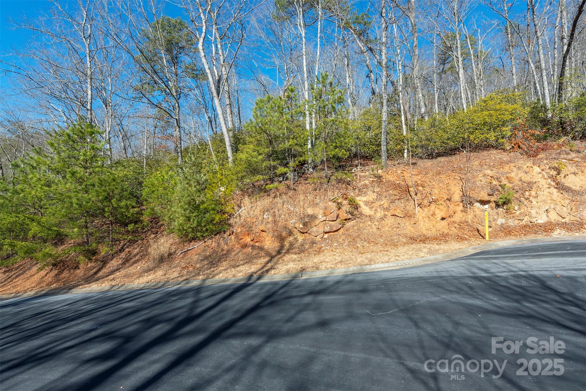 99999 Caddis Lane Horse Shoe NC 28742