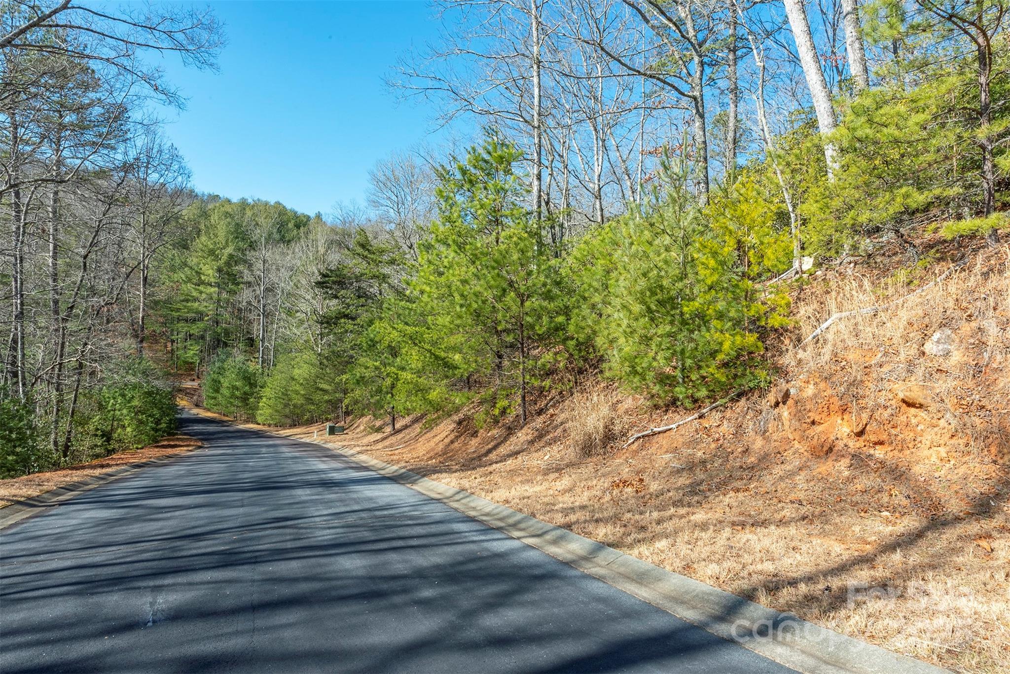 99999 Caddis Lane Horse Shoe NC 28742