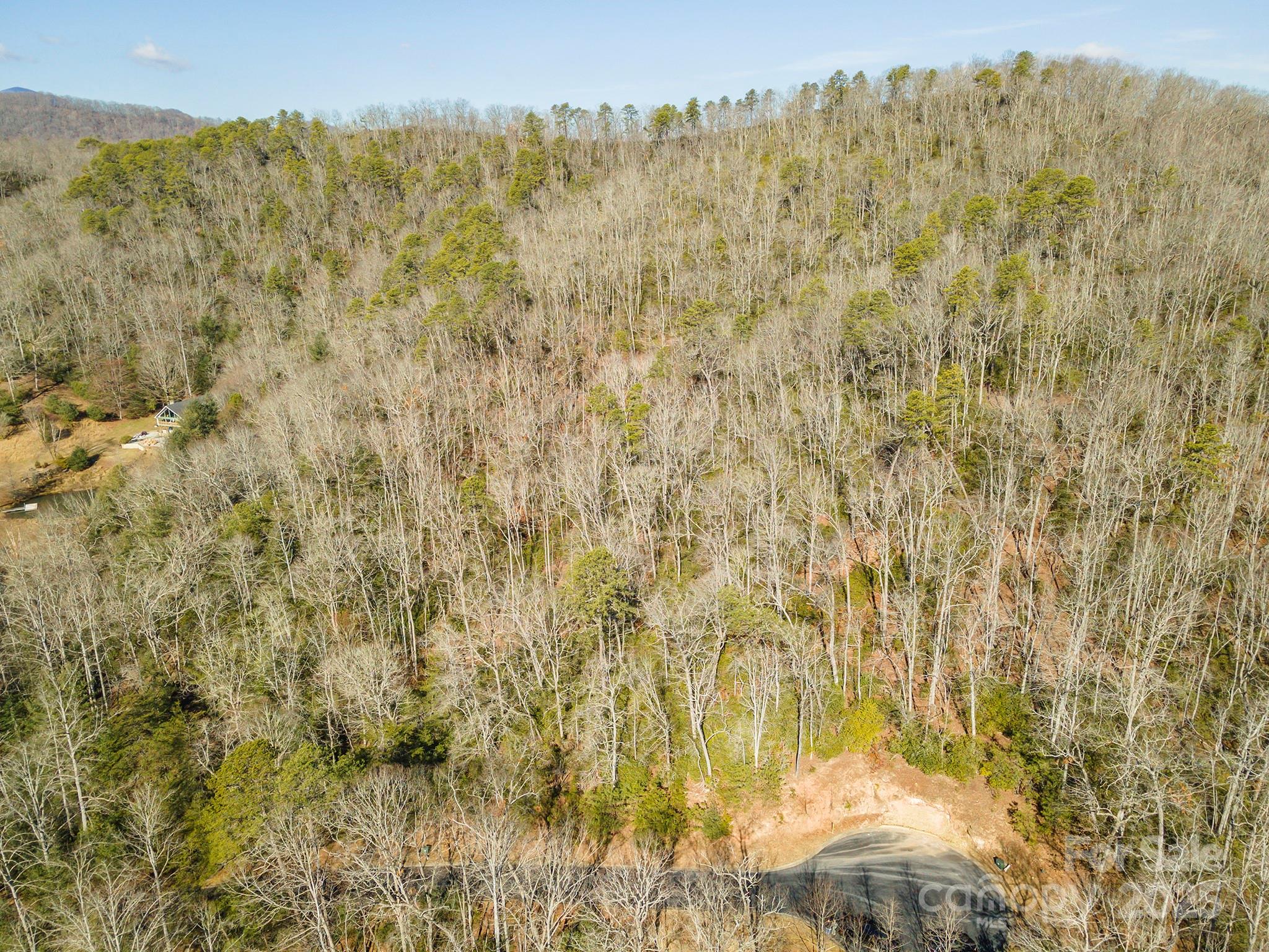 99999 Caddis Lane Horse Shoe NC 28742