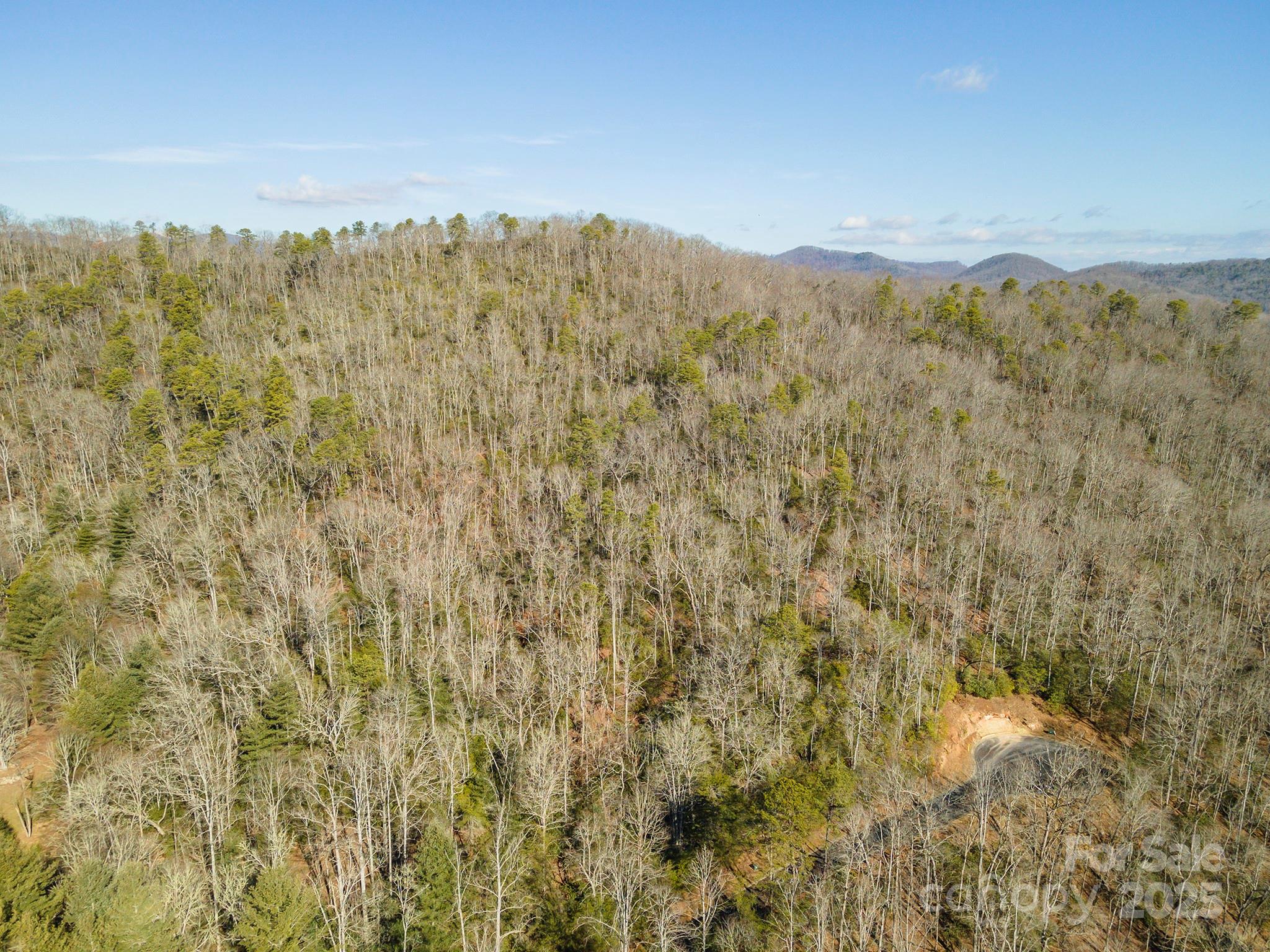 99999 Caddis Lane Horse Shoe NC 28742