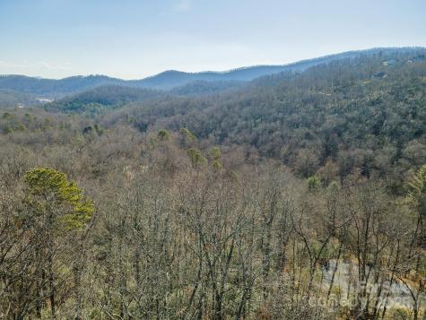 99999 Caddis Lane Horse Shoe NC 28742