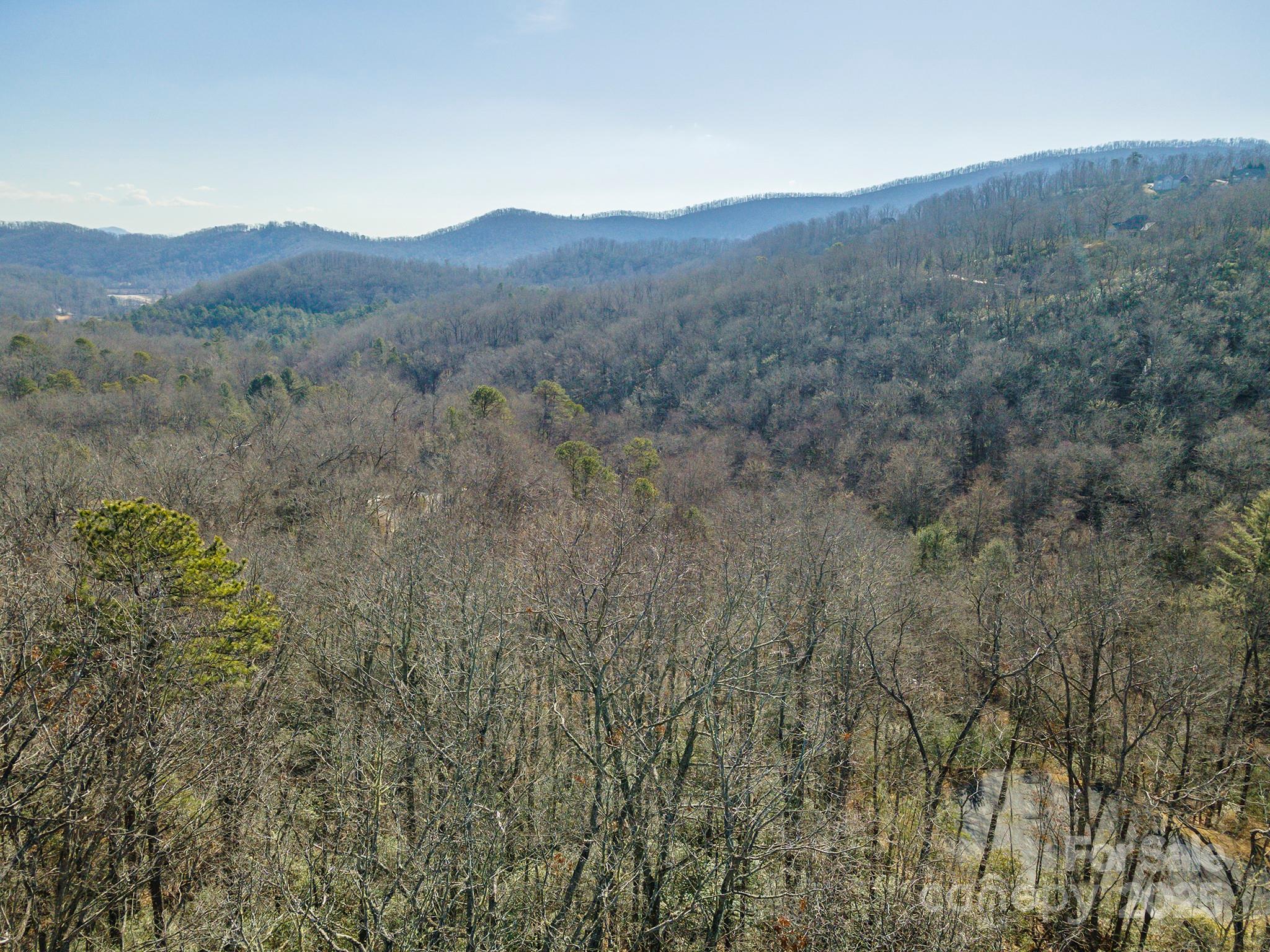 99999 Caddis Lane Horse Shoe NC 28742
