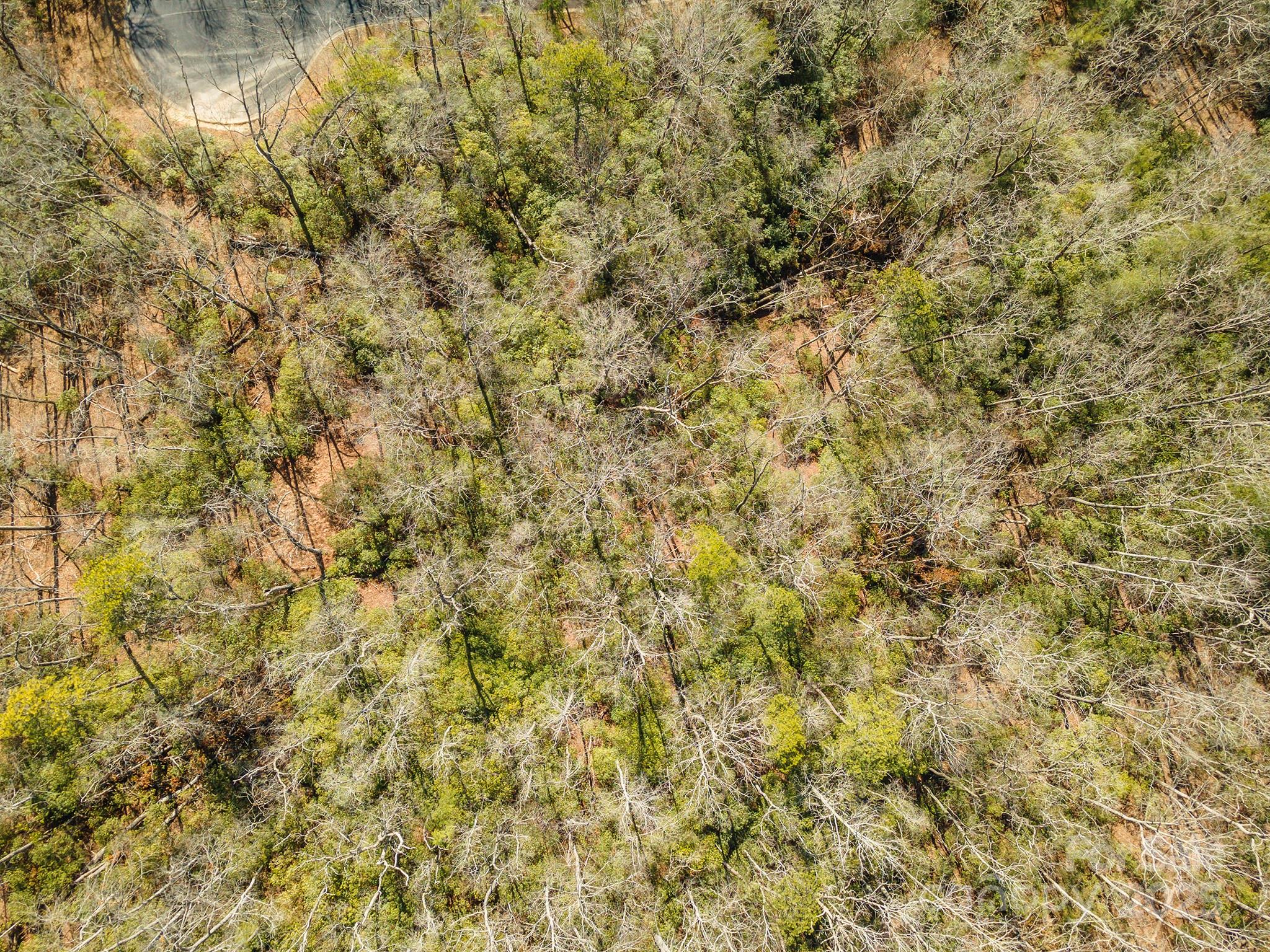 99999 Caddis Lane Horse Shoe NC 28742