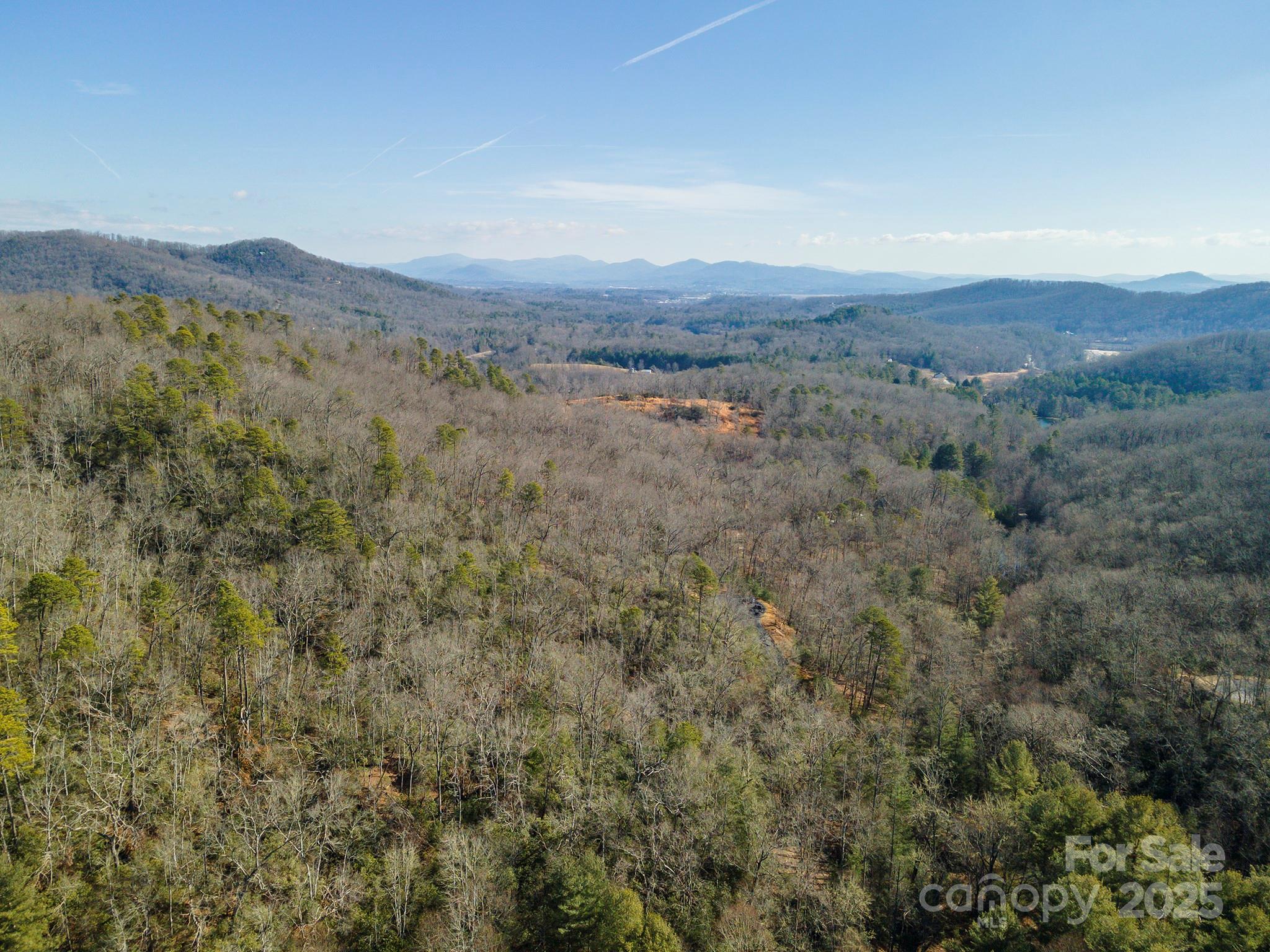 99999 Caddis Lane Horse Shoe NC 28742