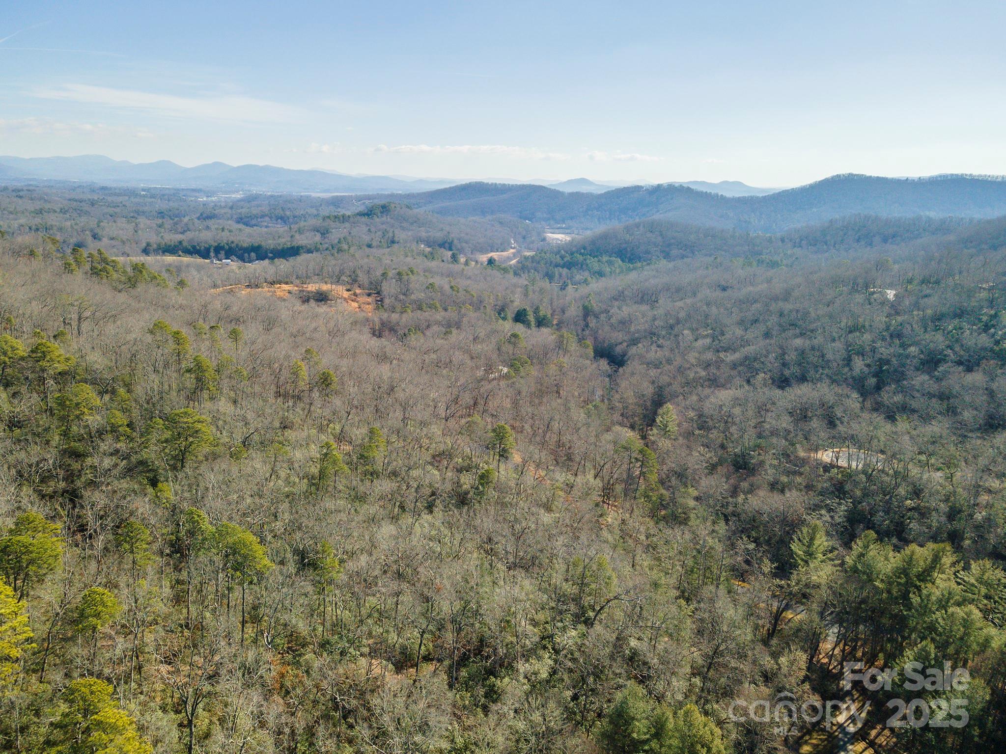 99999 Caddis Lane Horse Shoe NC 28742