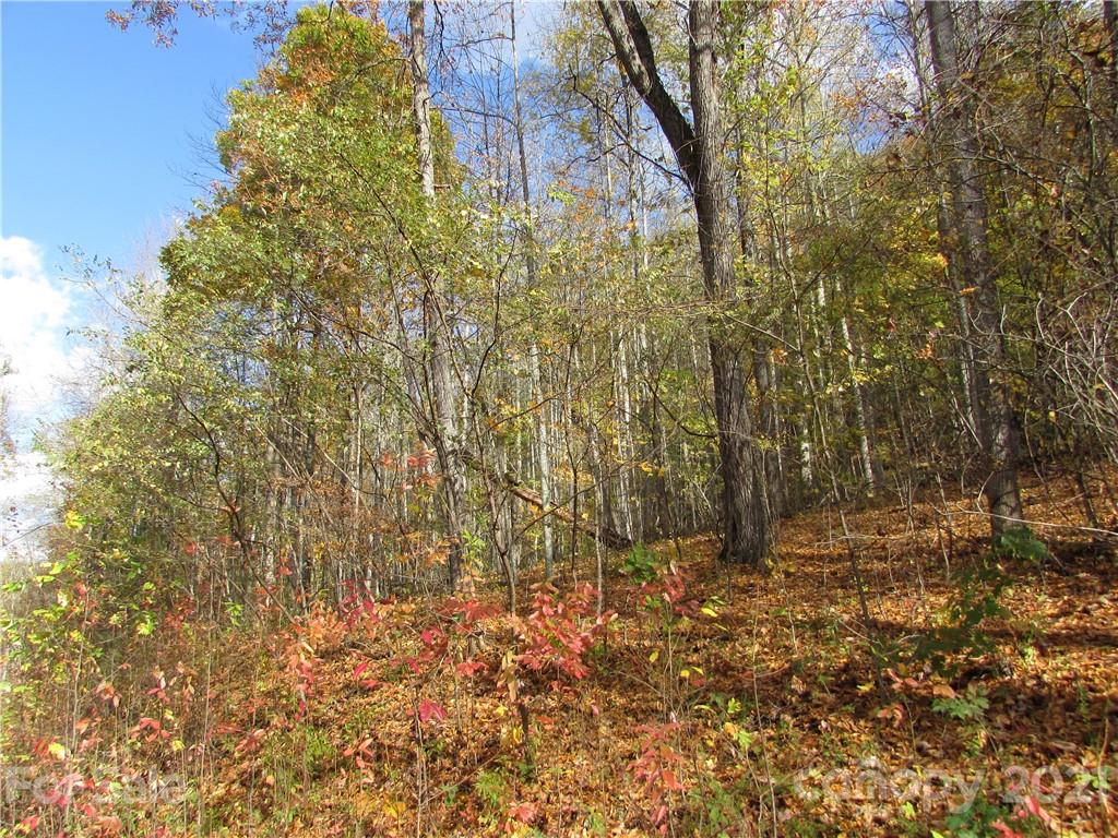 E- 13 Red Wolf Run Mars Hill NC 28754