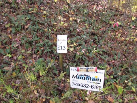E- 13 Red Wolf Run Mars Hill NC 28754