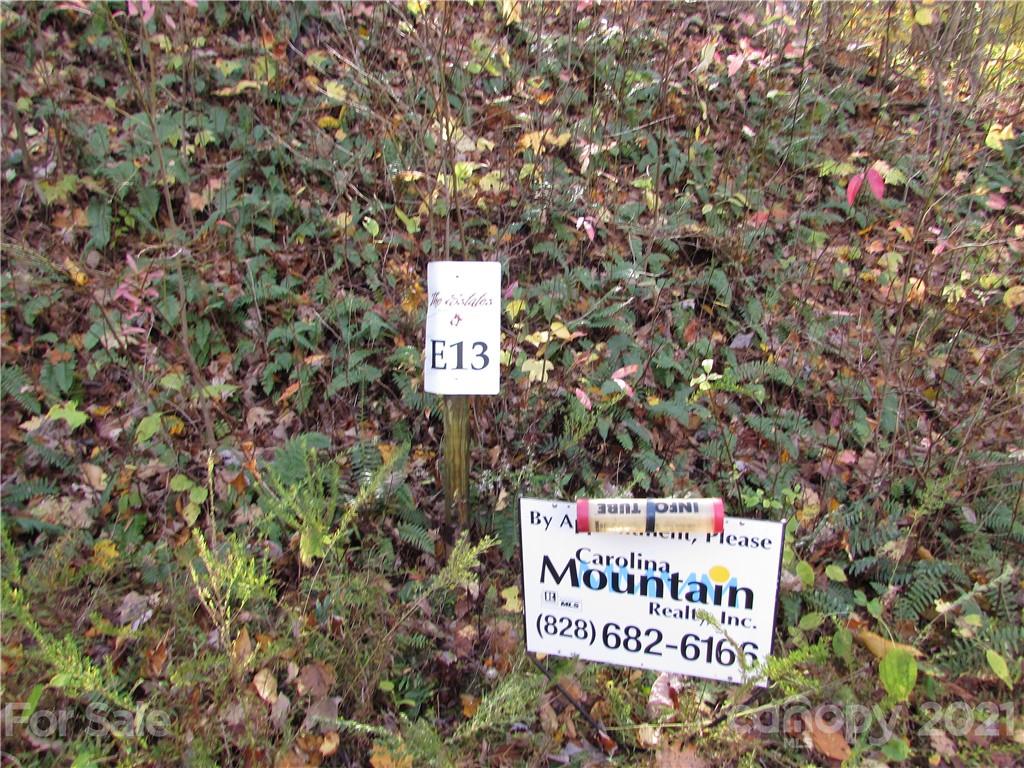 E- 13 Red Wolf Run Mars Hill NC 28754