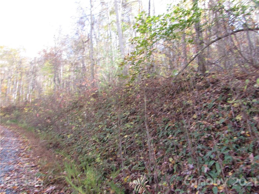 E- 13 Red Wolf Run Mars Hill NC 28754