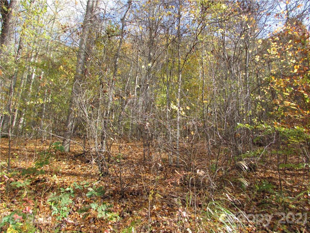 E- 13 Red Wolf Run Mars Hill NC 28754