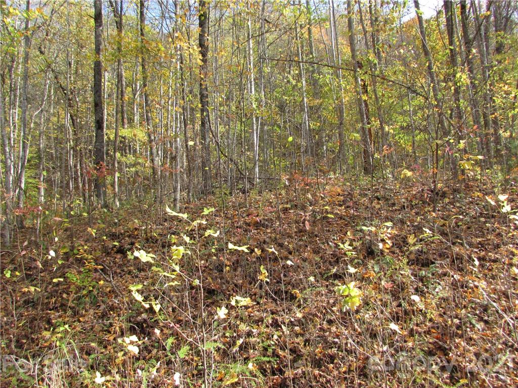E- 13 Red Wolf Run Mars Hill NC 28754