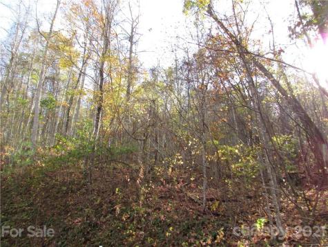 E- 13 Red Wolf Run Mars Hill NC 28754