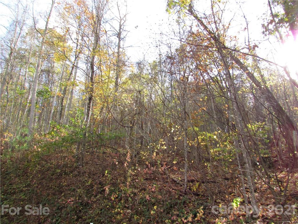 E- 13 Red Wolf Run Mars Hill NC 28754