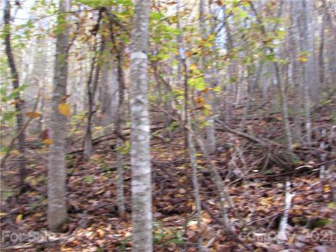 E- 13 Red Wolf Run Mars Hill NC 28754
