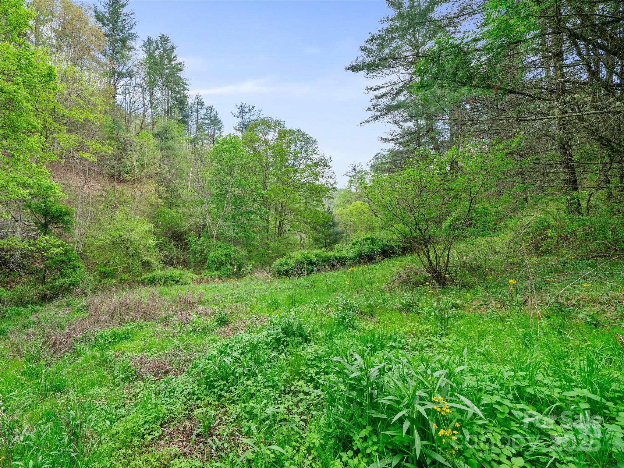 0 Fire Scald Road Green Mountain NC 28740