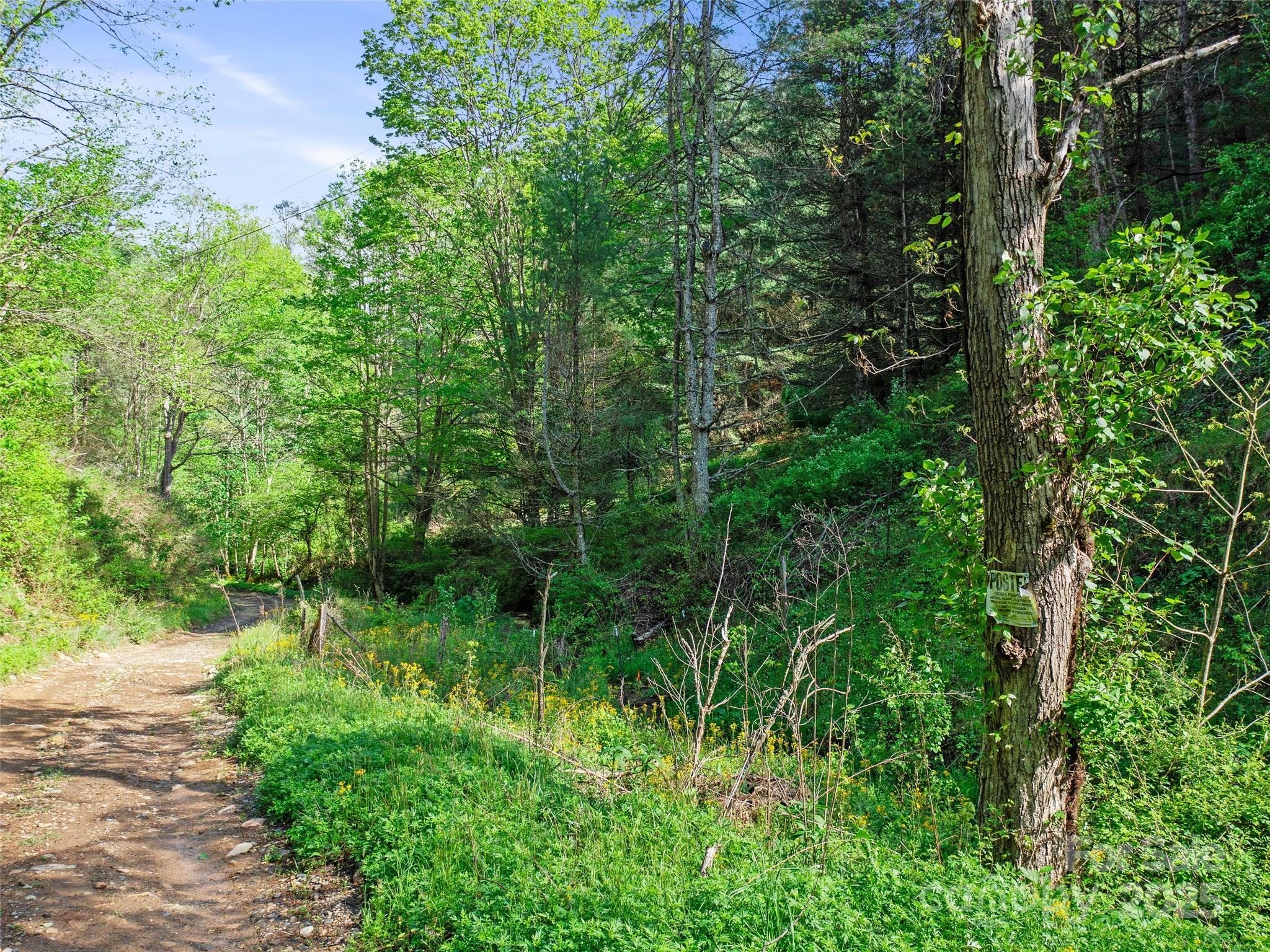 0 Fire Scald Road Green Mountain NC 28740