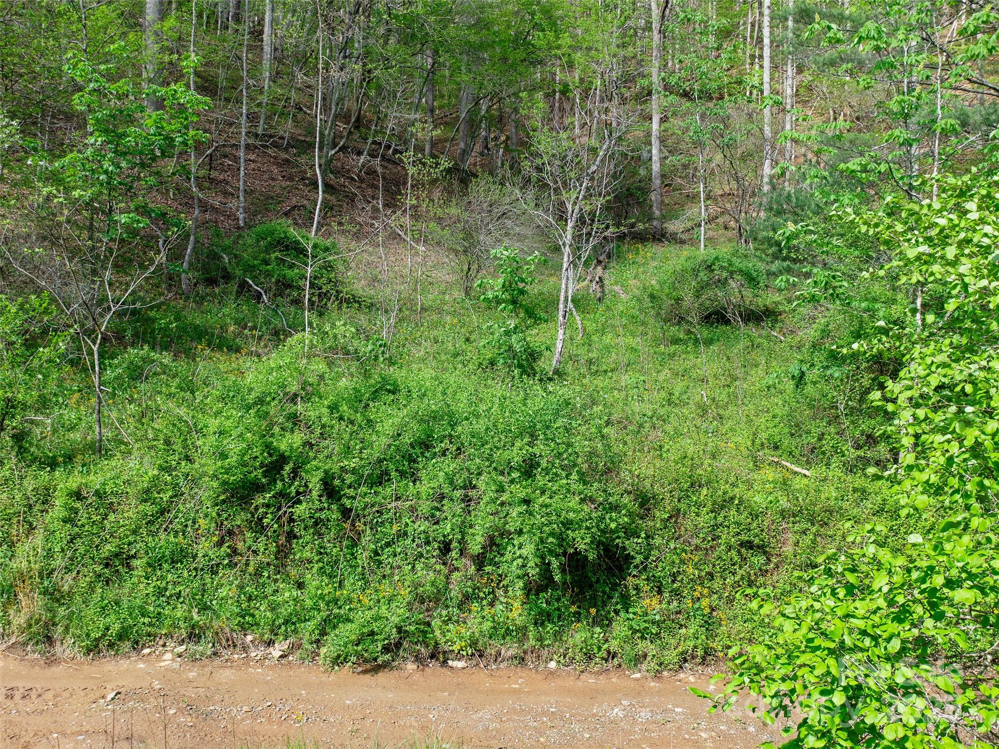0 Fire Scald Road Green Mountain NC 28740