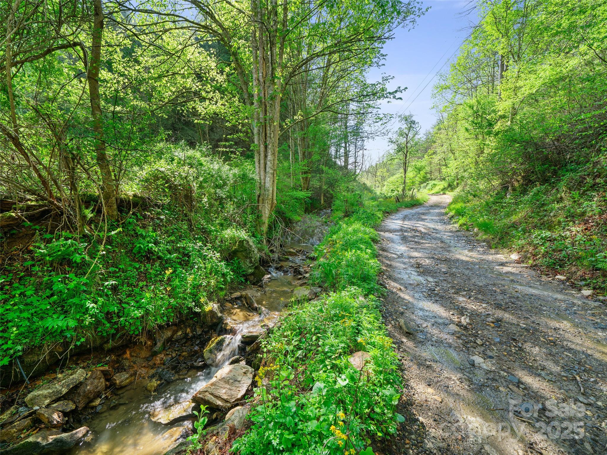 0 Fire Scald Road Green Mountain NC 28740