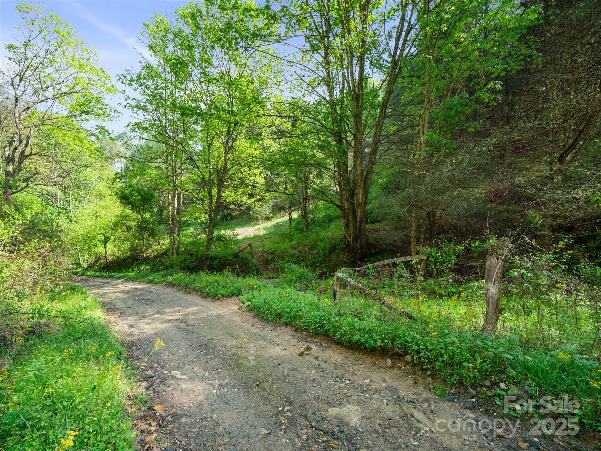 0 Fire Scald Road Green Mountain NC 28740
