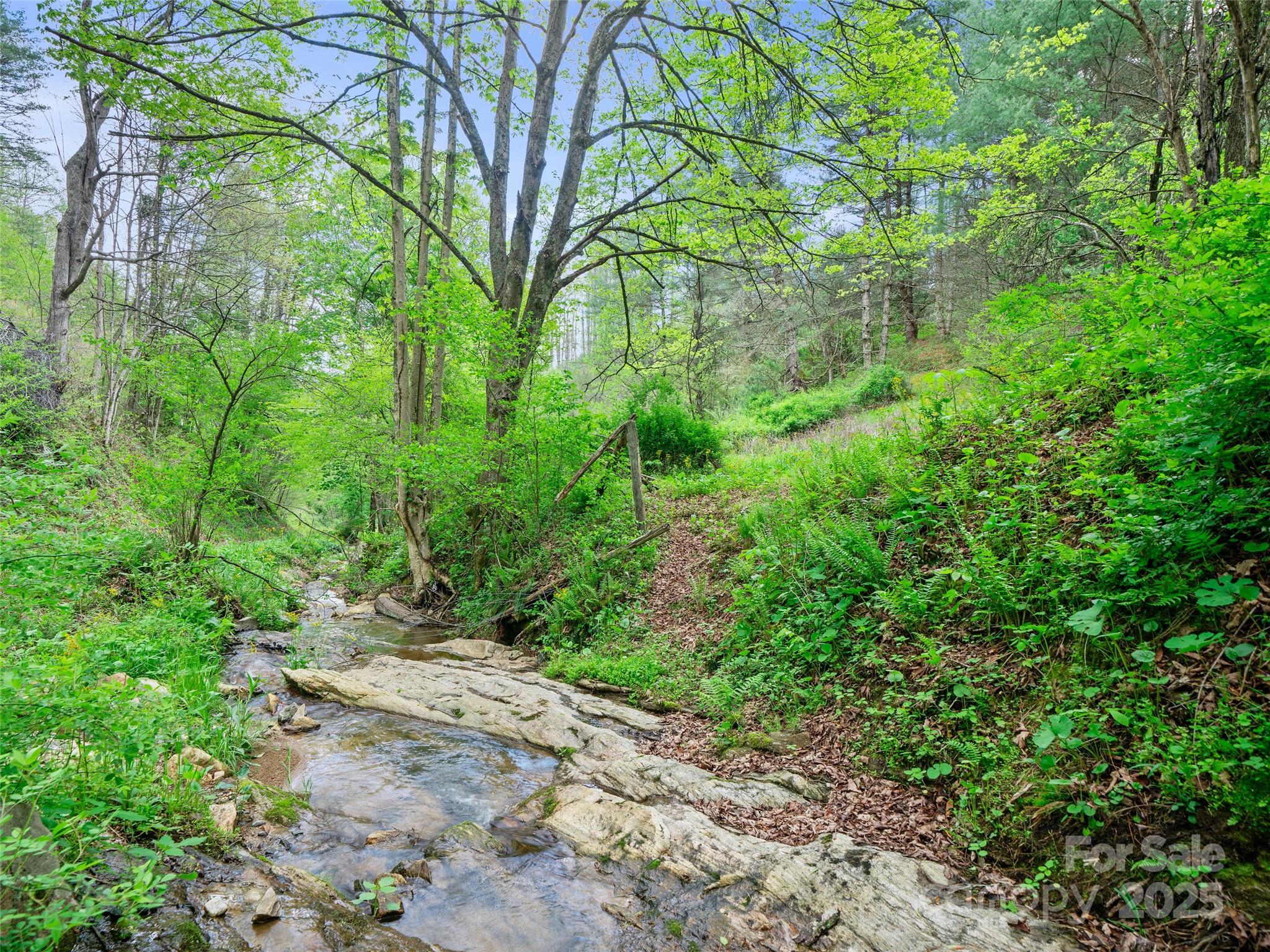 0 Fire Scald Road Green Mountain NC 28740