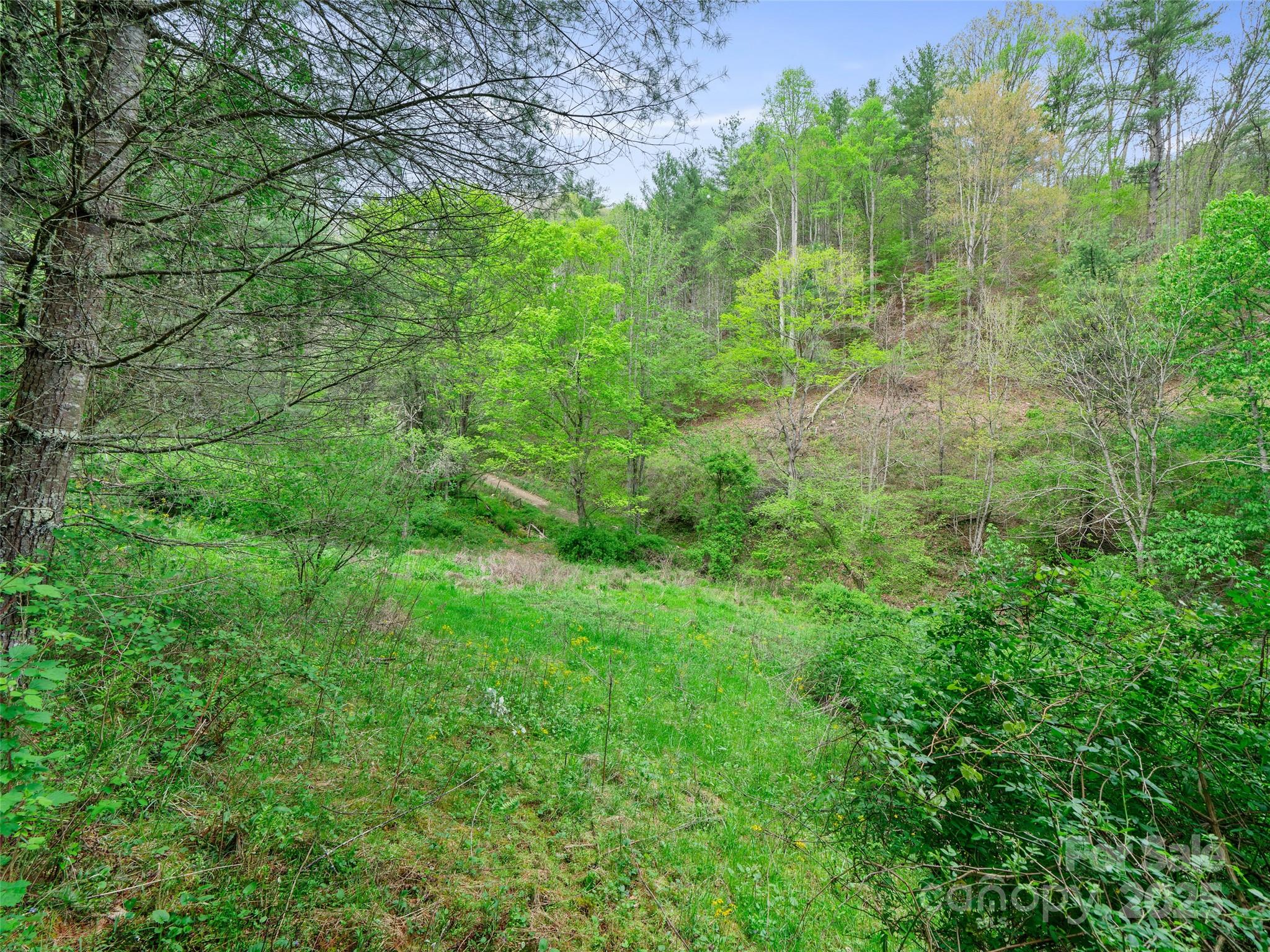 0 Fire Scald Road Green Mountain NC 28740