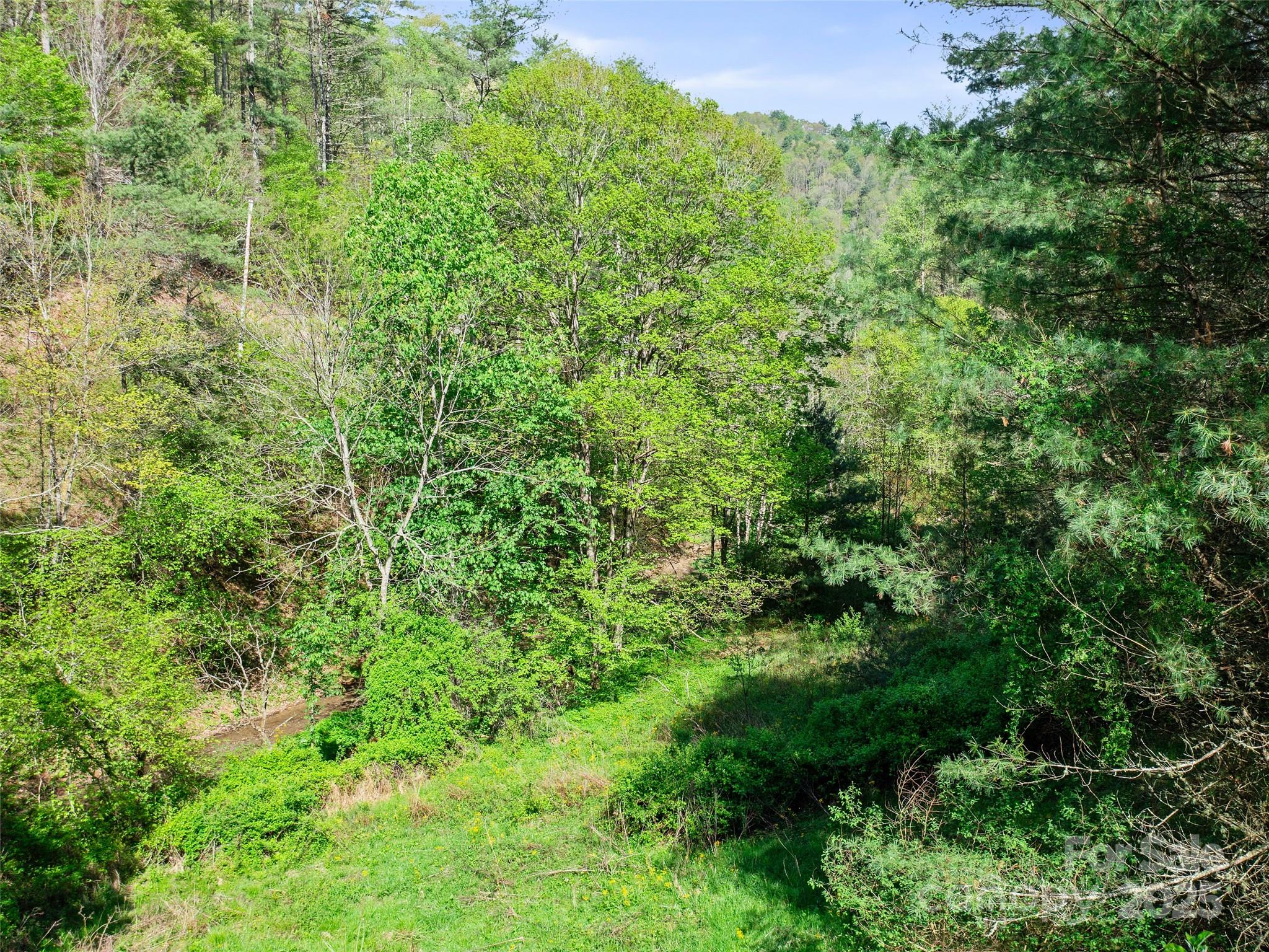 0 Fire Scald Road Green Mountain NC 28740