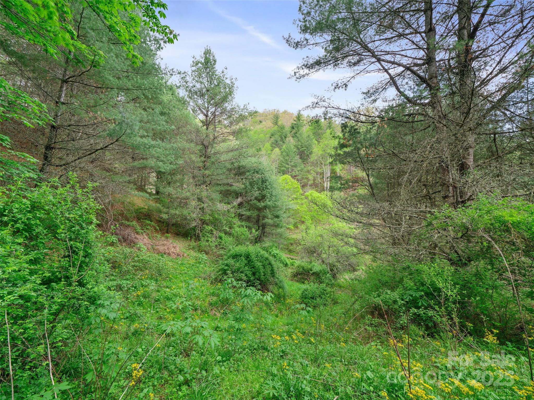 0 Fire Scald Road Green Mountain NC 28740