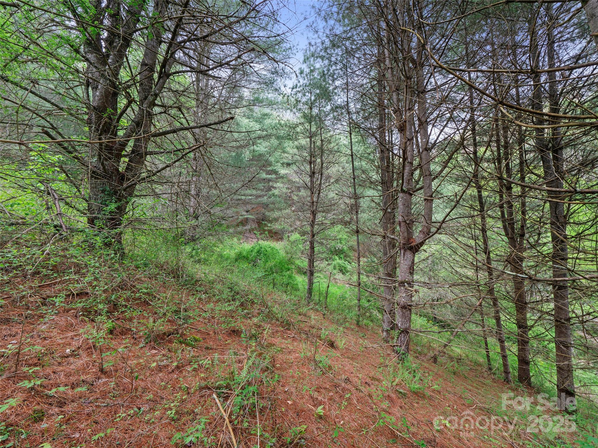 0 Fire Scald Road Green Mountain NC 28740