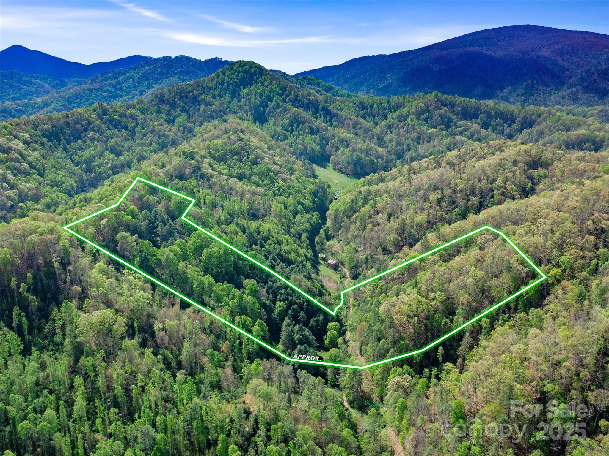 0 Fire Scald Road Green Mountain NC 28740