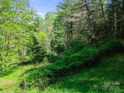 0 Fire Scald Road Green Mountain NC 28740