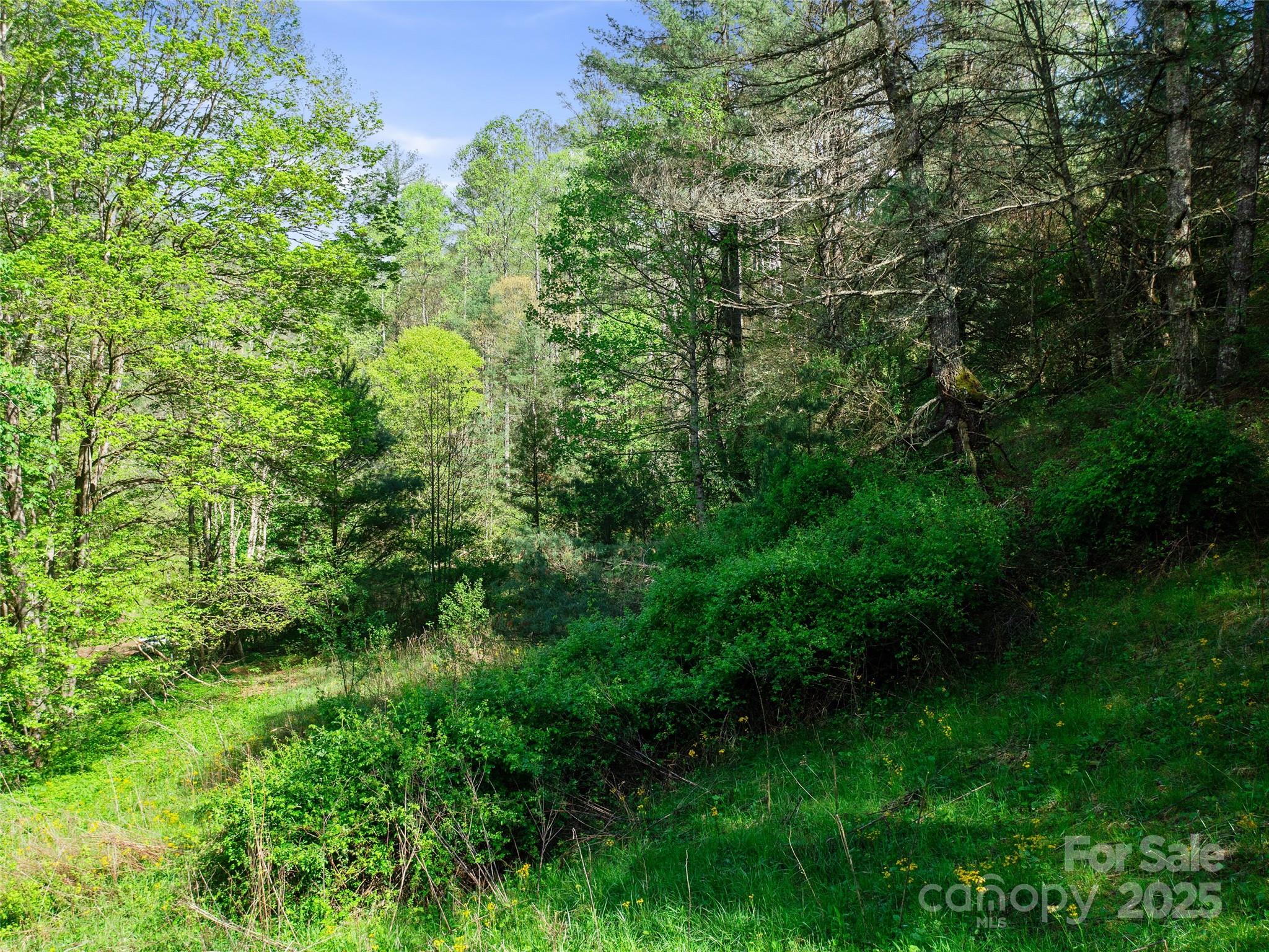 0 Fire Scald Road Green Mountain NC 28740