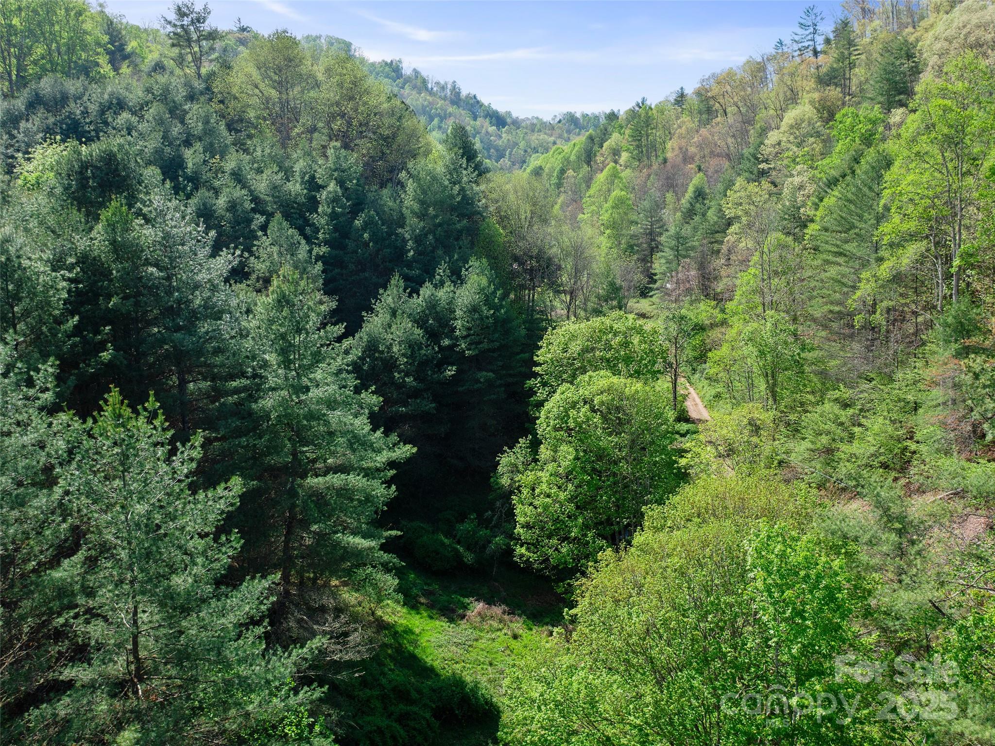 0 Fire Scald Road Green Mountain NC 28740